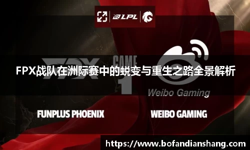易彩堂官网