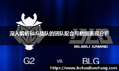 深入解析BLG战队的团队配合与数据表现分析