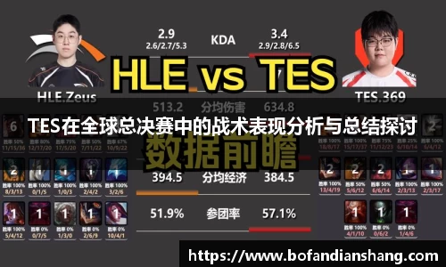 TES在全球总决赛中的战术表现分析与总结探讨