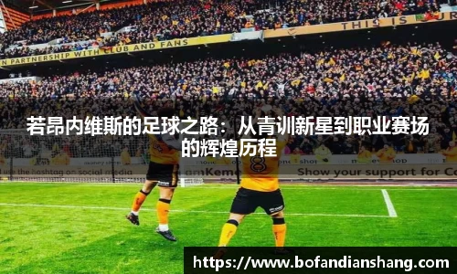 若昂内维斯的足球之路：从青训新星到职业赛场的辉煌历程
